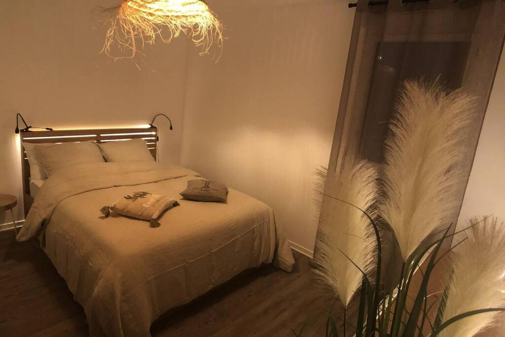 Appartement, Confort, Parking, Terrasse Dinan Buitenkant foto