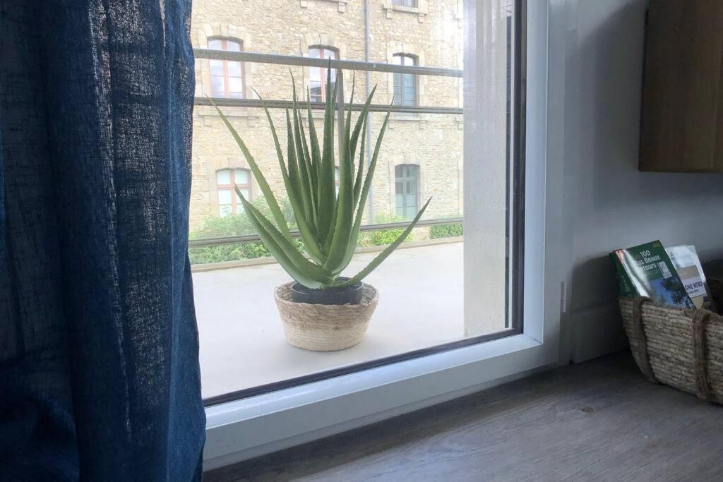 Appartement, Confort, Parking, Terrasse Dinan Buitenkant foto