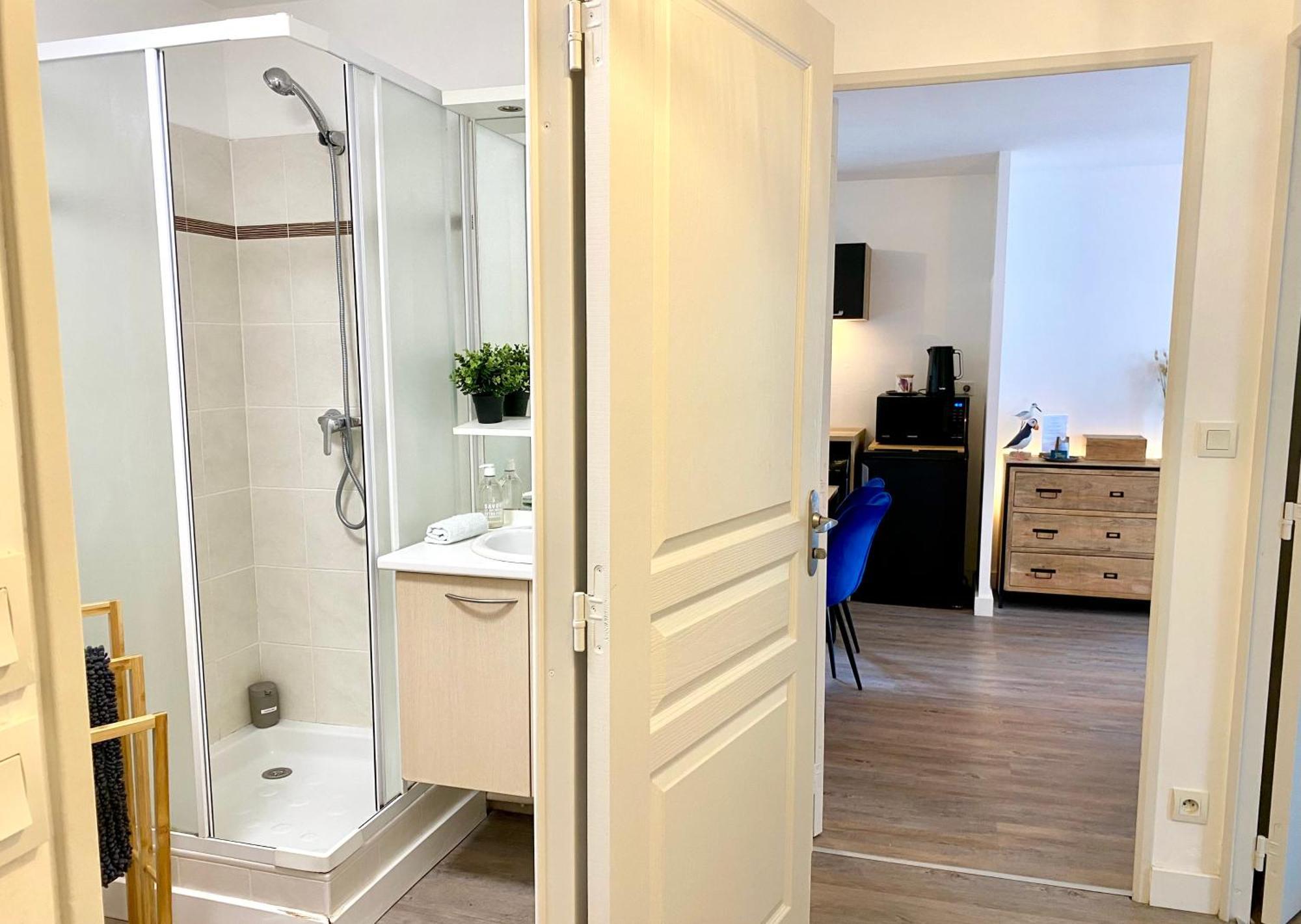 Appartement, Confort, Parking, Terrasse Dinan Buitenkant foto
